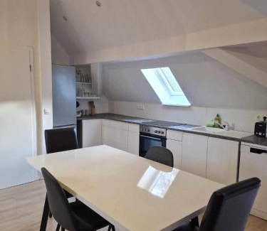 Ersingen Appartement | Ferienwohnungen Löwe