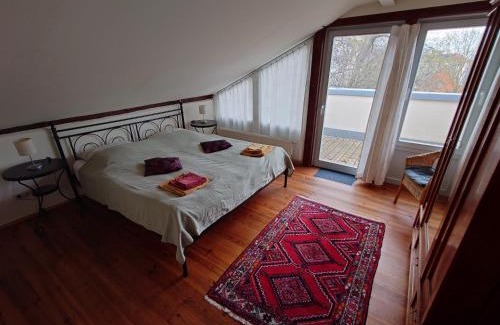 Suedvorstadt Appartement | Ferienwohnungen Villa Haniel Sophie