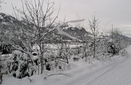 Hochfilzen Maison | Ferienwohnungen Vordergriess