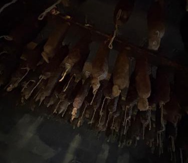 Saliceto Maison | Ferme auberge U sapè fà