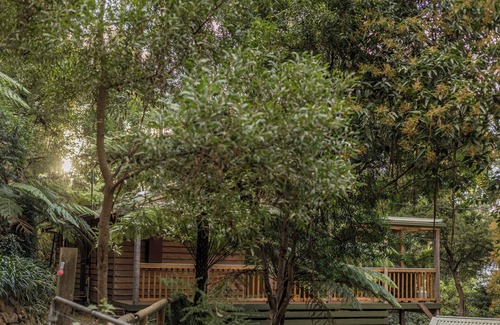 Wye River Maison | Fern House - bush by beach @ wye river
