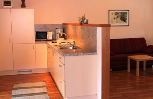 Gols Appartement | Fewo 1 Weinknospe - Ferienhof Weingut Lunzer
