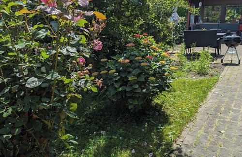 Balge Appartement | Fewo 110 m2 Nähe Weser / Weserradweg, Fahrrad, Schwimmen, Angeln, Dinopark