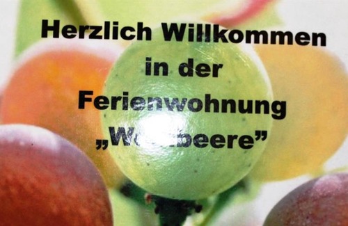 Gols Appartement | Fewo 4 Weinbeere - Ferienhof Weingut Lunzer