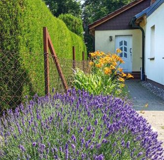 Borrentin Appartement | FeWo Albrecht in Metschow