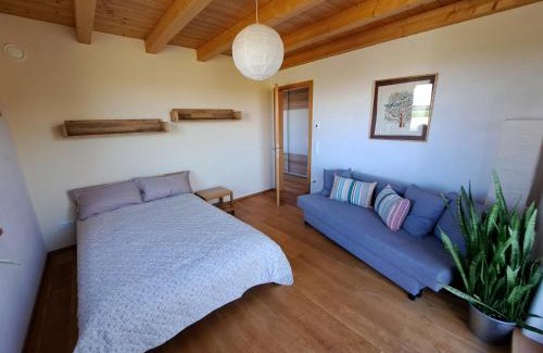 Unterallgau Appartement | FeWo "Alpakaleben" im ökologischen Holzhaus mit traumhafter Aussicht und Alpakas