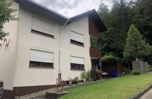 Hemfurth-Edersee Appartement | Fewo Am Edersee