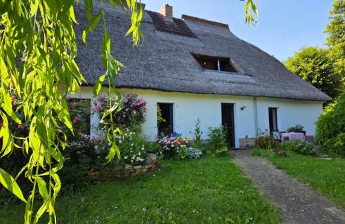 Hohen Demzin Appartement | FeWo am Skulpturenweg