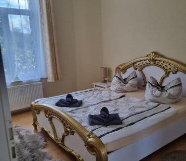 Bad Elster Appartement | FeWo Fürst Metternich, Bad Elster