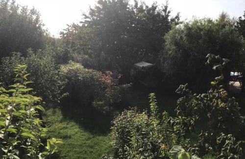 Sagard Appartement | Fewo in sonniger Lage in Sagard