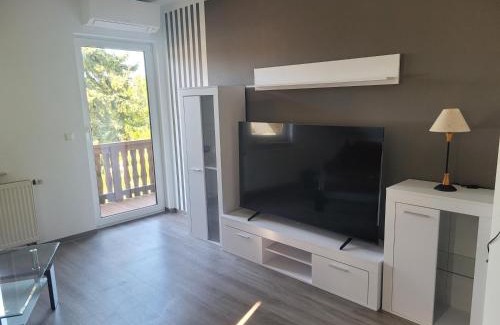 Wiederitzsch Appartement | Fewo in Wiederitzsch nähe Leipziger Messe