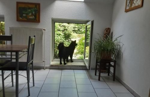 Werpeloh Appartement | FEWO Laubwald