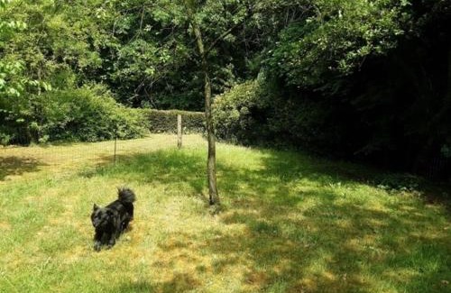 Werpeloh Appartement | FEWO Laubwald
