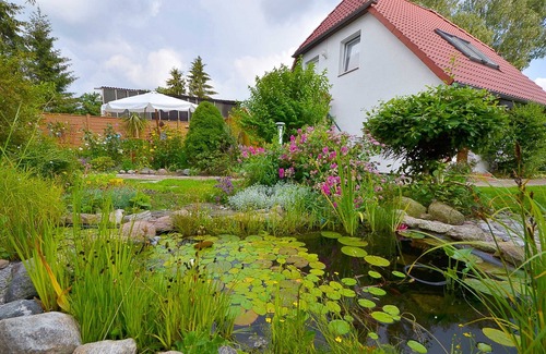 Luessow Appartement | Fewo Malcher - Stralsund - appartement avec terrasse