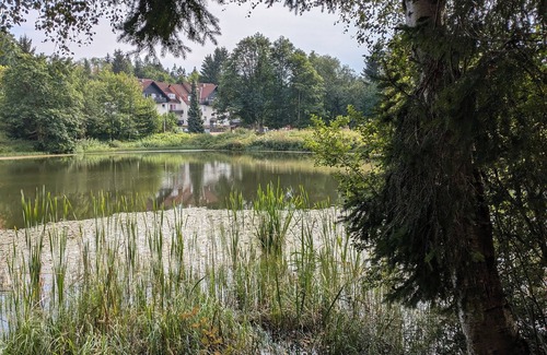 Bockswiese Appartement | FeWo Waldseeblick directly on the Liebesbankweg and Oberharzer Wasserregal