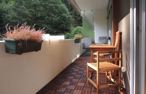 Bad Harzburg Appartement | Fewo Wanderhain