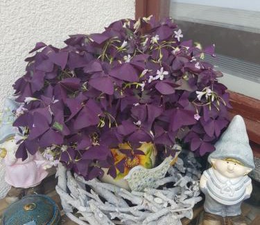 Weimar Appartement | FeWo Weimar