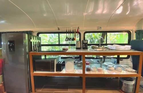 Monteverde Cabine | Ficus Wonders Bus. A Journey Through Nature