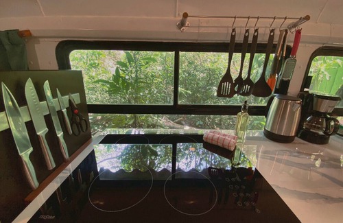 Monteverde Cabine | Ficus Wonders Bus. A Journey Through Nature