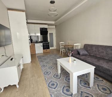 Yenisehir Appartement | Fidan apt
