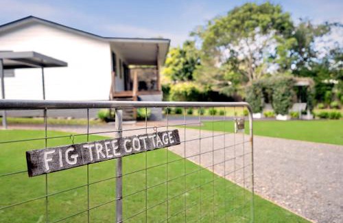 Peachester Maison | Fig Tree Cottage @ Sunshine Grove