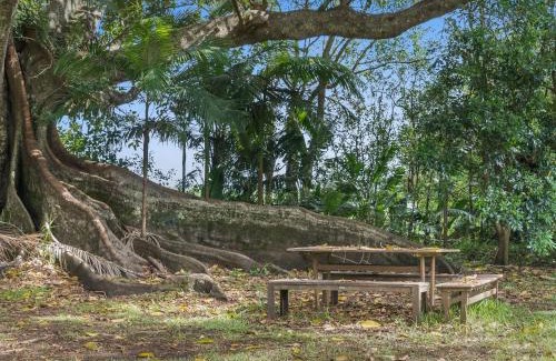 Teven Maison | Fig Tree House