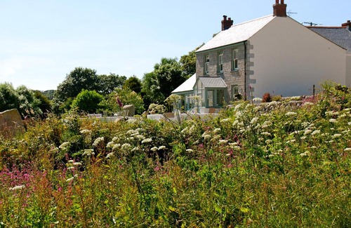 Penryn Lit Et Petit-Déjeuner | Fig Tree House