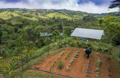 Platanares Maison | Finca Anjala - Architectural lodge on sustainable