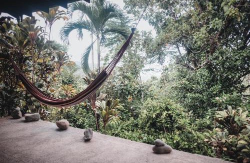 Ballena Hôtel | Finca Bavaria