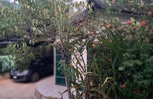 Palma Appartement | Finca Bosques de Osa