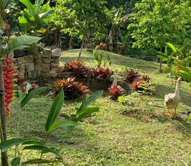 El Colegio Maison | Finca campestre en Mesitas del Colegio