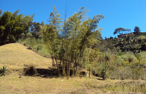 Rionegro Cottage | Finca Cocuyal... a whole live manger!!