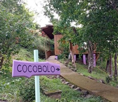 Paquera Cabine | Finca Colibri Ecolodges en Pleine Nature ferry Playa Najanjo Costa Rica