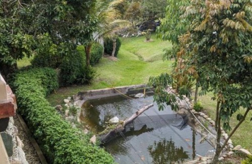 Santo Domingo Maison | Finca Curva de Paraíso