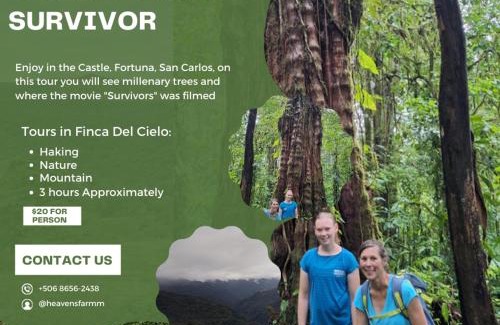 La Fortuna Lit Et Petit-Déjeuner | Finca Del Cielo