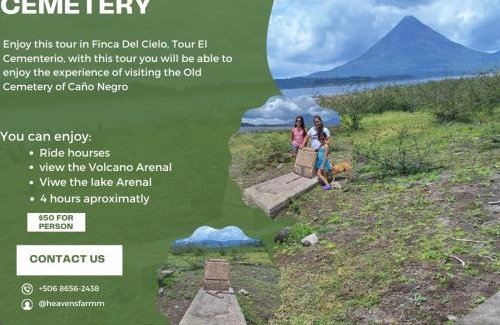 La Fortuna Lit Et Petit-Déjeuner | Finca Del Cielo