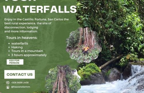 La Fortuna Lit Et Petit-Déjeuner | Finca Del Cielo