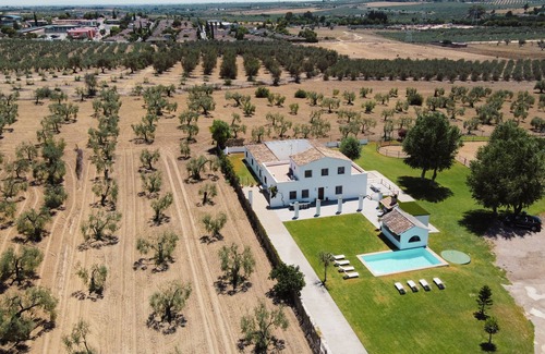 Espartinas Cottage | Finca El Lobito 20. 000m2 d'oliveraie, vues incroyables à 10 minutes du centre-ville