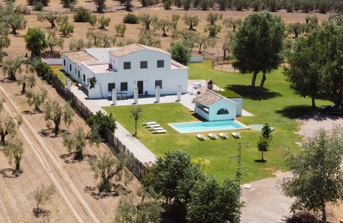Espartinas Cottage | Finca El Lobito 20. 000m2 d'oliveraie, vues incroyables à 10 minutes du centre-ville