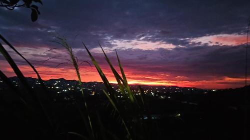 Rionegro Appartement | Finca el oserno