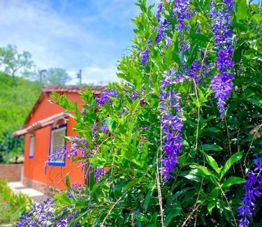 Pinchote Maison | Finca el Paraíso