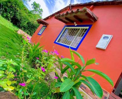 Pinchote Maison | Finca el Paraíso