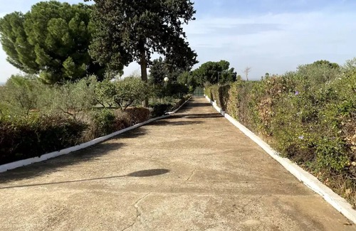 Carmona Maison | Finca el Paradisus