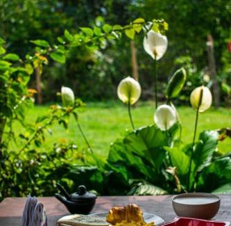 San Carlos Hôtel | Finca Hotel Betel