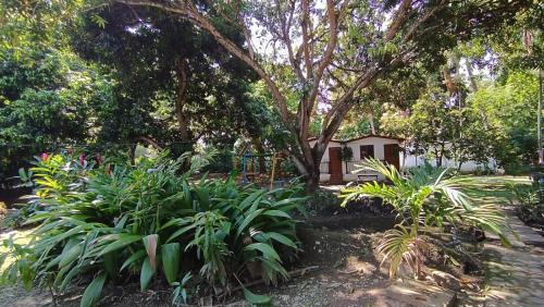 Santa Fe de Antioquia Hôtel | Finca Hotel La Estancia