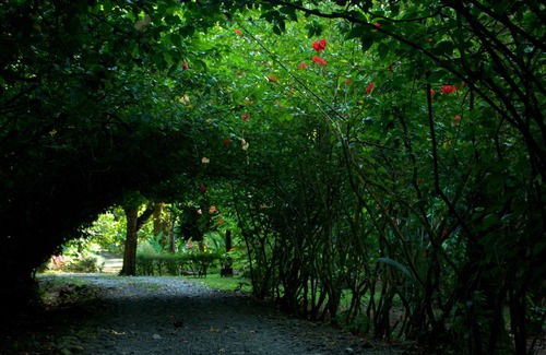 Carate Cabine | Finca la Bonita, Near Corcovado National Park.