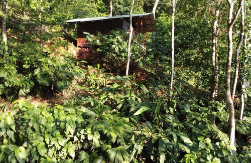 Carate Cabine | Finca la Bonita, Near Corcovado National Park.