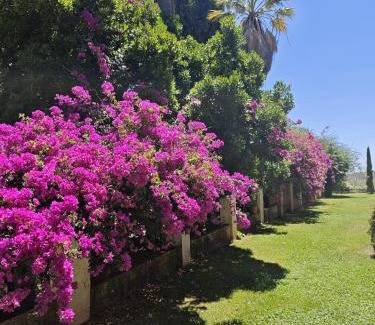 Constantina Maison | Finca La Favorita- Suites
