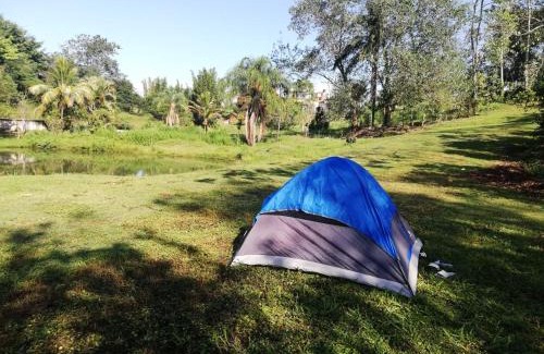 Veracruz Cabine | Finca La Laguna