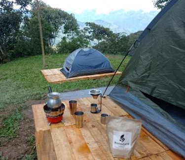 Coffee Triangle Autre | Finca La Palma